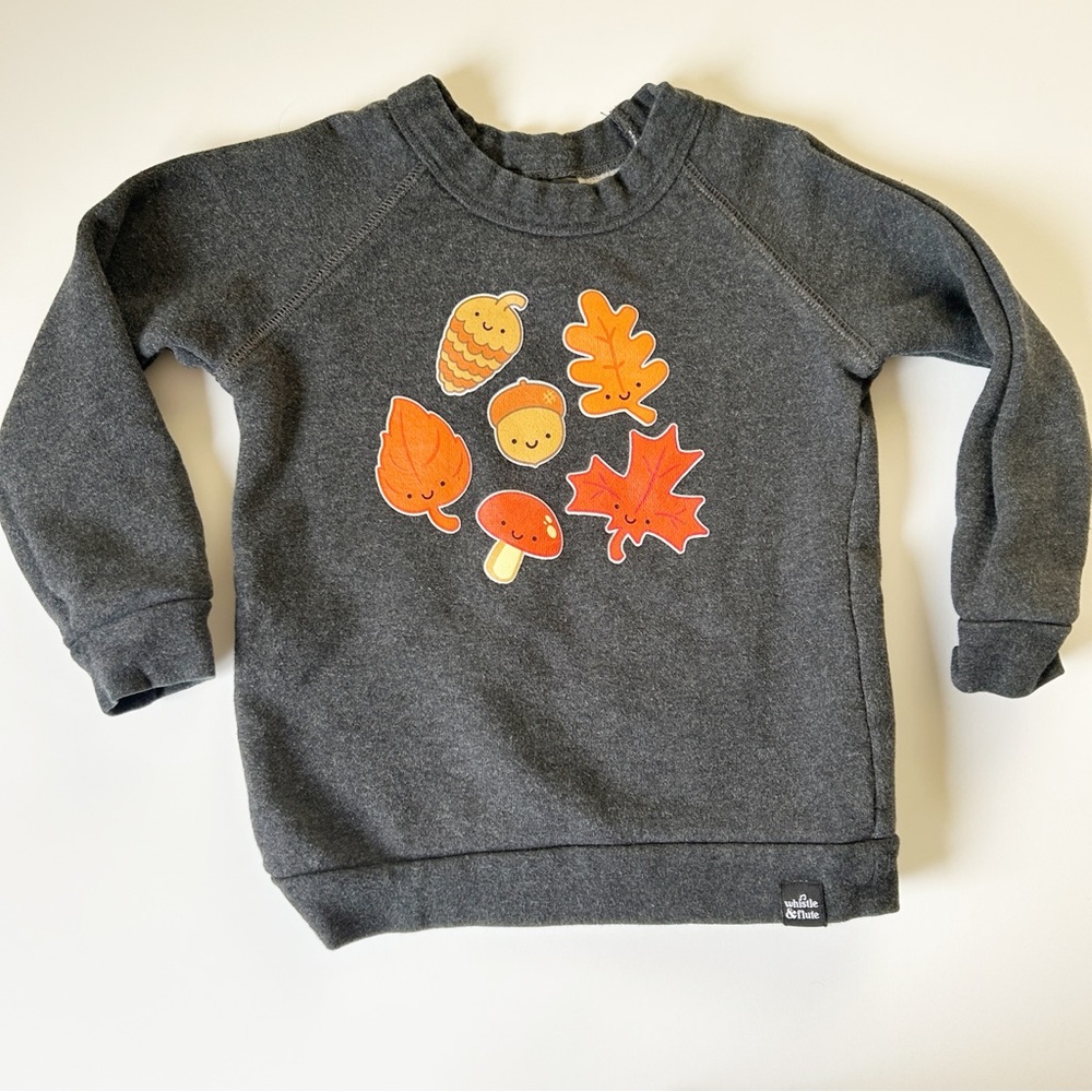 Toddler Size 3/4 Whistle & Flute Fall Crew Sweatshirt